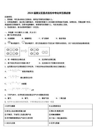 2024届顺义区重点名校中考化学五模试卷含解析.doc
