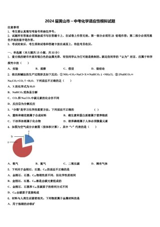 2024届黄山市～中考化学适应性模拟试题含解析.doc