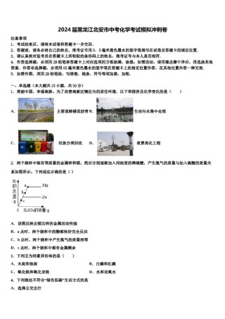 2024届黑龙江北安市中考化学考试模拟冲刺卷含解析.doc