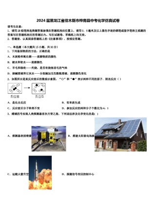 2024届黑龙江省佳木斯市桦南县中考化学仿真试卷含解析.doc