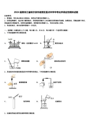 2024届黑龙江省哈尔滨市道里区重点中学中考化学适应性模拟试题含解析.doc