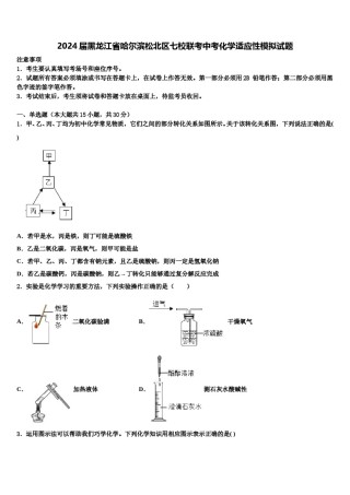 2024届黑龙江省哈尔滨松北区七校联考中考化学适应性模拟试题含解析.doc