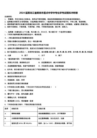 2024届黑龙江省鹤岗市重点中学中考化学考试模拟冲刺卷含解析.doc