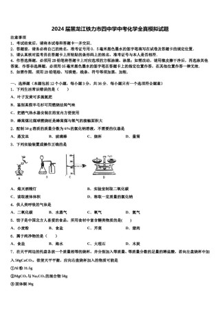 2024届黑龙江铁力市四中学中考化学全真模拟试题含解析.doc