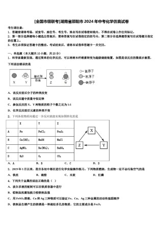 [全国市级联考]湖南省邵阳市2024年中考化学仿真试卷含解析.doc