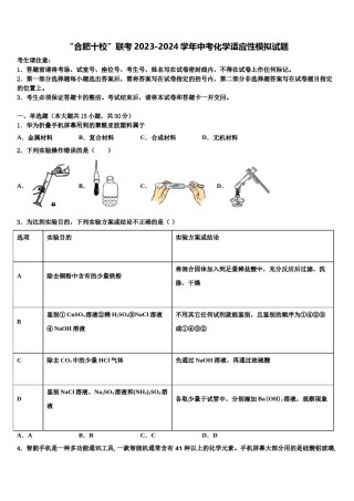 “合肥十校”联考2023-2024学年中考化学适应性模拟试题含解析.doc