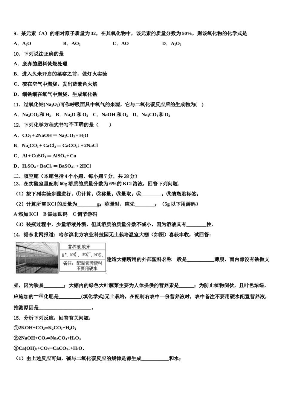 【首发】山东省临沂市费县2023-2024学年中考化学最后冲刺模拟试卷含解析.doc_第3页