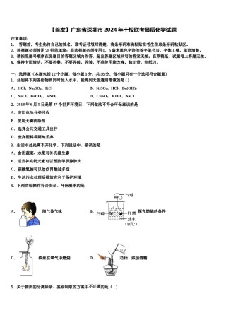 【首发】广东省深圳市2024年十校联考最后化学试题含解析.doc