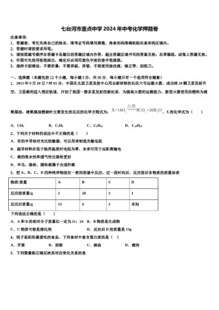 七台河市重点中学2024年中考化学押题卷含解析.doc