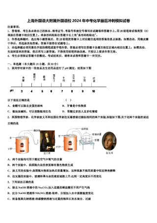 上海外国语大附属外国语校2024年中考化学最后冲刺模拟试卷含解析.doc