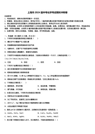 上海市2024届中考化学考试模拟冲刺卷含解析.doc