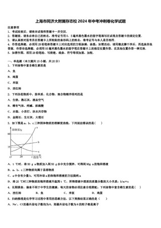 上海市同济大附属存志校2024年中考冲刺卷化学试题含解析.doc