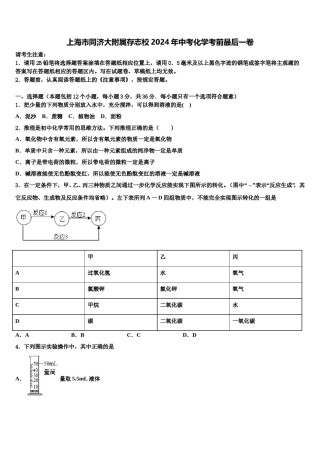 上海市同济大附属存志校2024年中考化学考前最后一卷含解析.doc