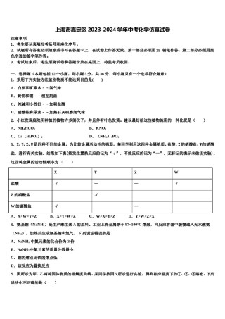 上海市嘉定区2023-2024学年中考化学仿真试卷含解析.doc
