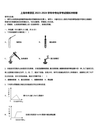 上海市奉贤区2023-2024学年中考化学考试模拟冲刺卷含解析.doc