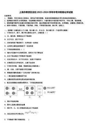 上海市奉贤区名校2023-2024学年中考冲刺卷化学试题含解析.doc