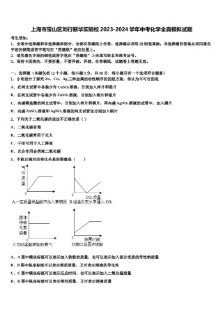 上海市宝山区刘行新华实验校2023-2024学年中考化学全真模拟试题含解析.doc