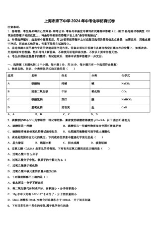 上海市廊下中学2024年中考化学仿真试卷含解析.doc