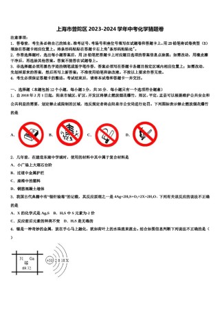上海市普陀区2023-2024学年中考化学猜题卷含解析.doc