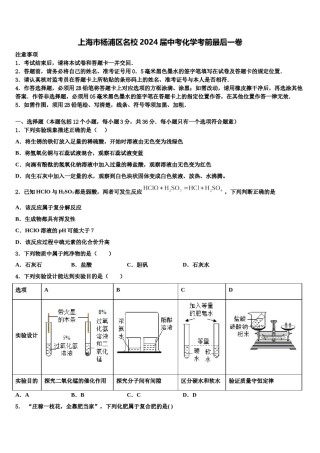 上海市杨浦区名校2024届中考化学考前最后一卷含解析.doc