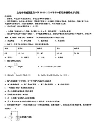 上海市杨浦区重点中学2023-2024学年十校联考最后化学试题含解析.doc