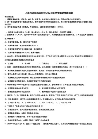 上海市浦东新区名校2024年中考化学押题试卷含解析.doc
