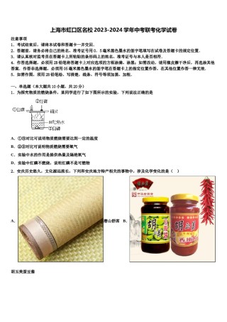 上海市虹口区名校2023-2024学年中考联考化学试卷含解析.doc