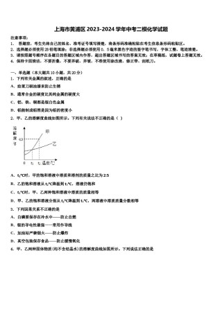 上海市黄浦区2023-2024学年中考二模化学试题含解析.doc