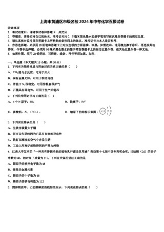上海市黄浦区市级名校2024年中考化学五模试卷含解析.doc