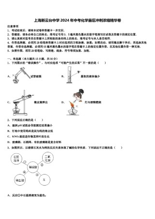 上海新云台中学2024年中考化学最后冲刺浓缩精华卷含解析.doc