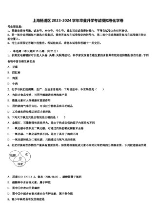 上海杨浦区2023-2024学年毕业升学考试模拟卷化学卷含解析.doc
