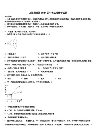 上海杨浦区2024届中考三模化学试题含解析.doc