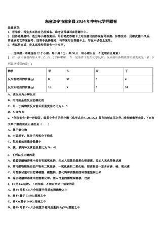 东省济宁市金乡县2024年中考化学押题卷含解析.doc