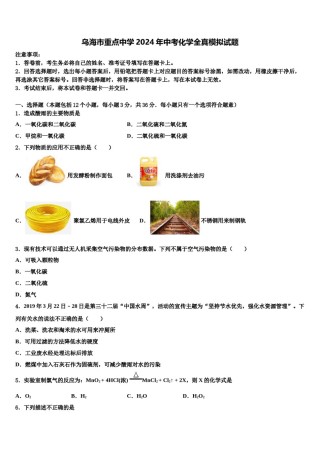 乌海市重点中学2024年中考化学全真模拟试题含解析.doc