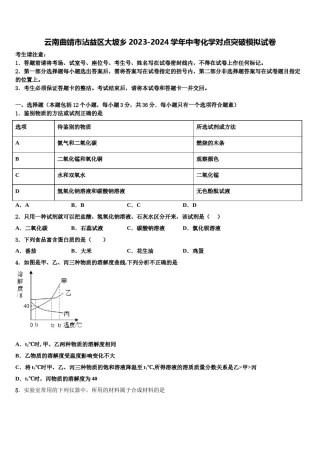 云南曲靖市沾益区大坡乡2023-2024学年中考化学对点突破模拟试卷含解析.doc