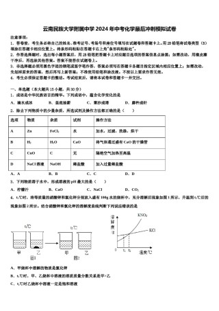 云南民族大学附属中学2024年中考化学最后冲刺模拟试卷含解析.doc