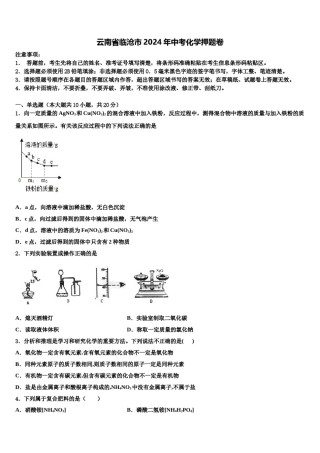 云南省临沧市2024年中考化学押题卷含解析.doc