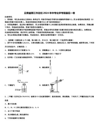 云南省丽江市名校2024年中考化学考前最后一卷含解析.doc