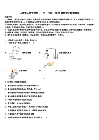 云南省云南大附中（一二一校区）2024届中考化学押题卷含解析.doc