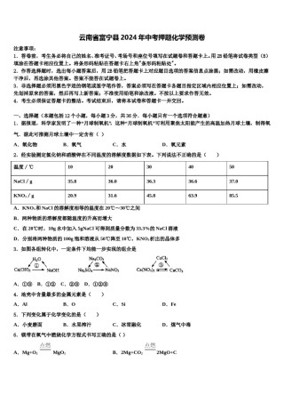 云南省富宁县2024年中考押题化学预测卷含解析.doc