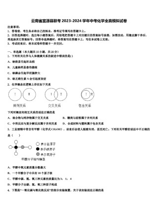 云南省富源县联考2023-2024学年中考化学全真模拟试卷含解析.doc