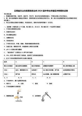 云南省文山壮族苗族自治州2024届中考化学最后冲刺模拟试卷含解析.doc