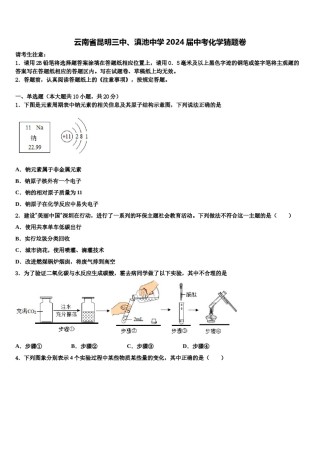 云南省昆明三中、滇池中学2024届中考化学猜题卷含解析.doc