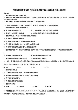 云南省昆明市盘龙区（禄劝县重点名校2024届中考二模化学试题含解析.doc