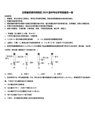 云南省昭通市昭阳区2024届中考化学考前最后一卷含解析.doc