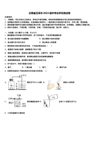 云南省玉溪市2024届中考化学仿真试卷含解析.doc