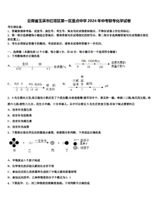 云南省玉溪市红塔区第一区重点中学2024年中考联考化学试卷含解析.doc