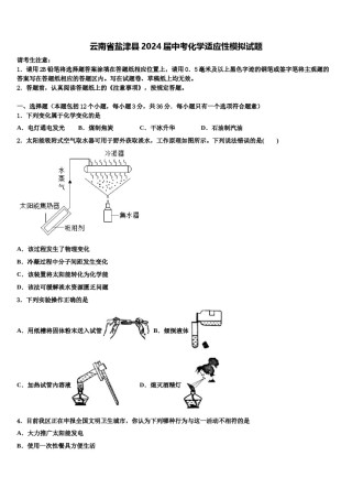 云南省盐津县2024届中考化学适应性模拟试题含解析.doc