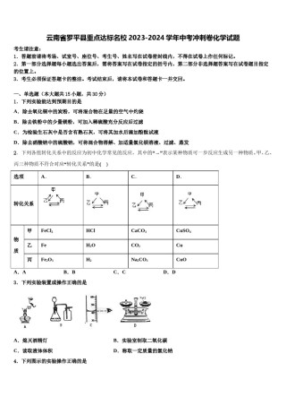 云南省罗平县重点达标名校2023-2024学年中考冲刺卷化学试题含解析.doc