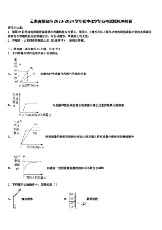 云南省蒙自市2023-2024学年初中化学毕业考试模拟冲刺卷含解析.doc